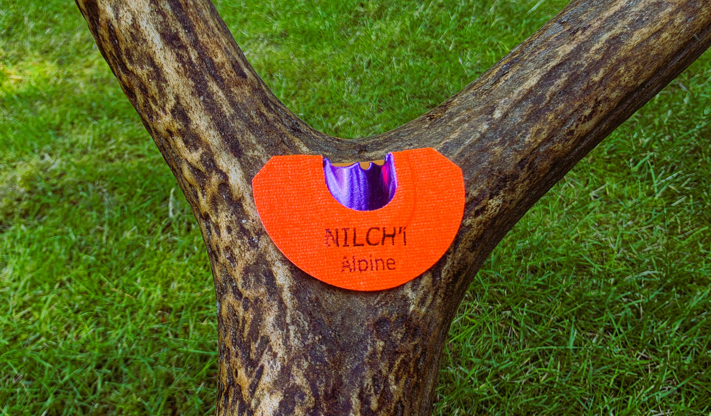 ELK REED — ALPINE